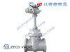 Motorized Gate Valve ZECO