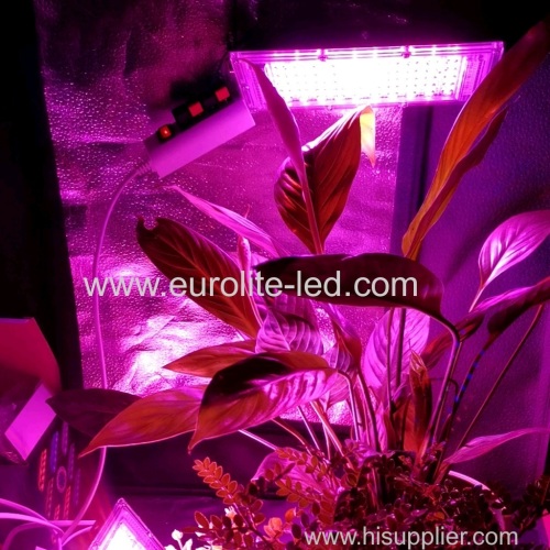 LED Grow Light AC220V 50W LED Full Spectrum Phyto Lamp Greenhouse Hydroponic Plant Growth Lighting