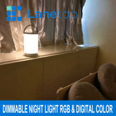 Dimmable USB Rechargeable RGB Color Bedroom Decoration Night Light