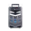 China Portable Subwoofer Speaker without Trolley