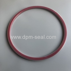 FEP/PFA encapsulated manlid seal