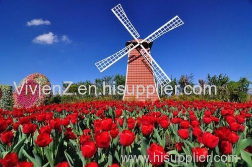 Air Freight - Shipping Direct From Shenzhen (SZX) to Amsterdam (AMS) Holland Transfer to European Countries