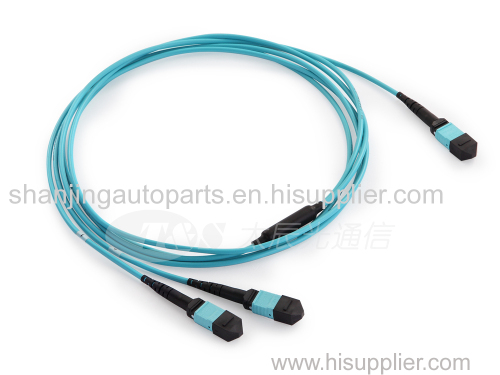 MTP/MPO Shuffle Cable 1