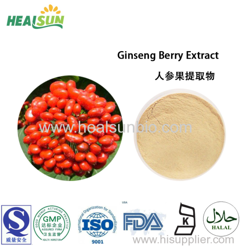 Panax Ginseng berry Extract Ginsenoside