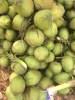 FRESH COCONUT MADE IN VIETNAM