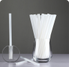 Perfect Eco-friendly Compostable Straw Bulk