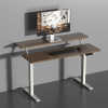 Dual-layer Electric Height Adjustable Desk