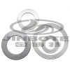 BOTE Corrugated Metal Gasket