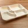Compostable Corn Starch 5 Compartment Food Container