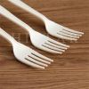 Corn starch compostable fruit and food fork