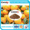 Cocoly agricultural fertilizer granular water soluble fertilizer