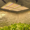 Waterproof LED Grow Light for Indoor Plant vertical farming led lighting plant grow light bar