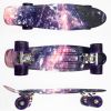 Multicolour fish plastic skateboard / water printing fish board