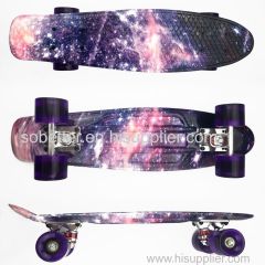 Multicolour fish plastic skateboard / water printing fish board