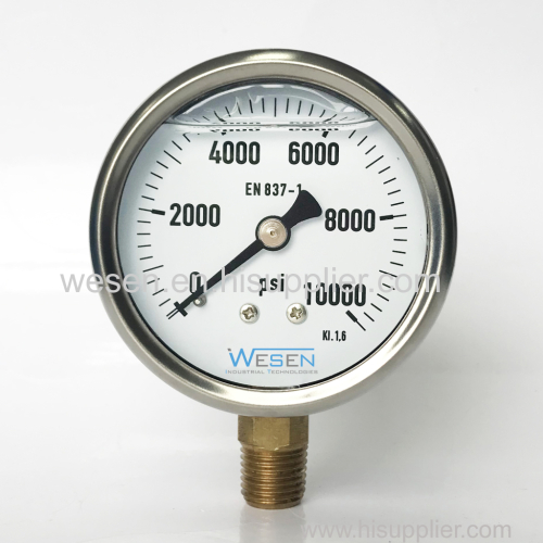 Stainless Steel Pressure Gauge