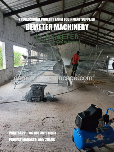 A frame poultry farming layer chicken cages battery cage system for sale in Ibadan Nigeria