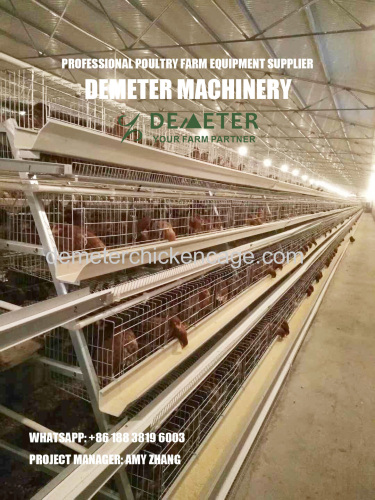 A frame 4 tier layer chicken cage poultry battery cage system for sale in Lagos Nigeria