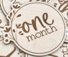 Wooden Baby and Pregnancy Announcement Hand-Crafted Circles Baby Monthly Milestone Cards and Baby Shower Gifts