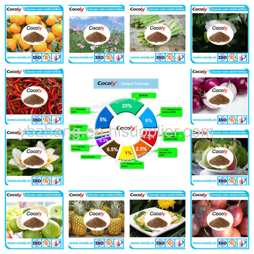 Chinese factory cocoly granular water soluble fertilizer
