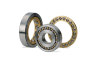 Fully loaded roller bearing