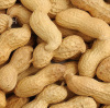 The producing area of Chinese peanut