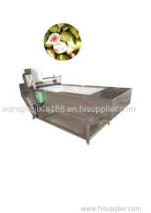 Automatic fig cutting machine