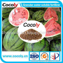 Comprehensive nutrient granular water-soluble fertilizer cocoly
