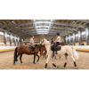 indoor horse arena prefab steel horse barn shelter