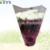 All Kinds of Color Plastic Cone Pastry Piping Sleeve Flowers Bag Manufacturer