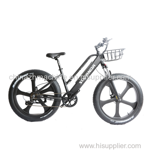 26 Inch Aluminum Alloy Electric Mountain Bike Electric Assisted Bicycle
