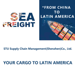 China Freight Forwarder Sea Shipping to Brazil by FCL/LCL Shipments