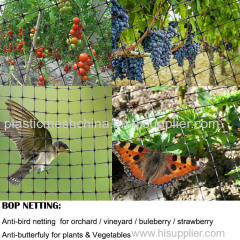 supply bird netting/anti bird netting crop protection/malla antipajaros