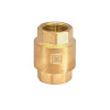 Brass Spring Check Valve