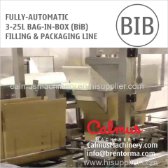 Fully-automatic BiB Filling Machine Bag in Box Packaging Line