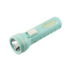 USB charging purple light banknote inspection flashlight