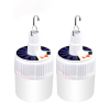 Portable Energy Saving Solar Charging Lamp Bulbs