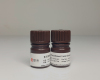 Recombinant Enterokinase Zhuhai Gene-Biocon Biological Technology