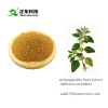 Ashwagandha Root Extract [ Withania somnifera ]- withanolides