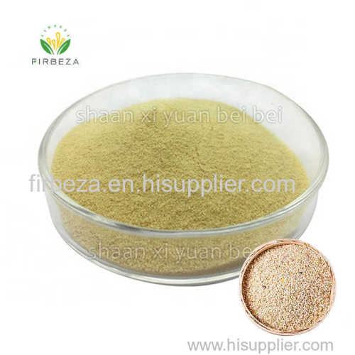 Factory Supply High Quality 90% Quinoa Protein Extract Powder