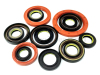 Customized Different Types Framework Oil Seal and Rotary Oil Seal