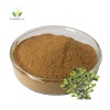Hot Selling 100% Pure Natural 10:1 Bacopa Monnieri Extract Powder