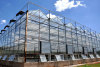 greenhouse with steel frame