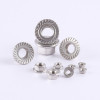 Stainless Steel Nut Flange Nut Hex Nut Square Nut Dome Nut Nylock Nuts