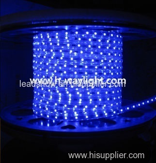 220V LED Strip Light