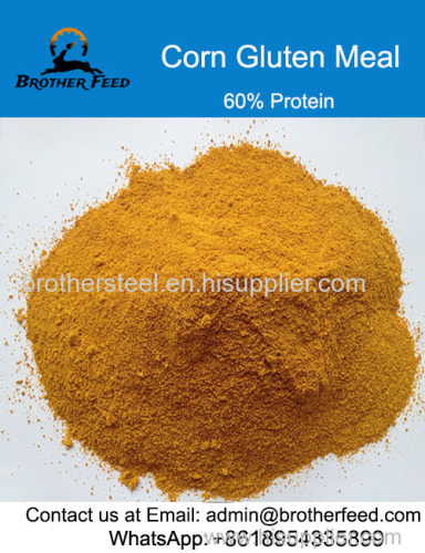 Protein 60% Animal Feed Poultry Feed Additive Grade Corn Gluten Meal Corn Not Gluten Meal