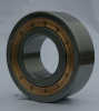 Cylindrical Roller Bearing Single Row and Double Row