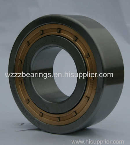 Cylindrical Roller Bearing Single Row and Double Row