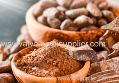 Skyswan Raw Cocoa Powder Bulk