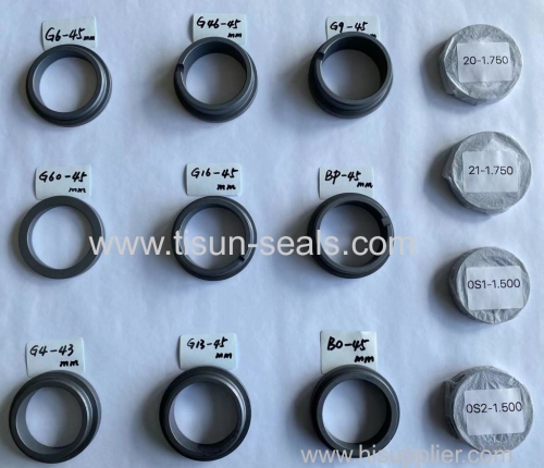 TS 109B Mechanical Seals