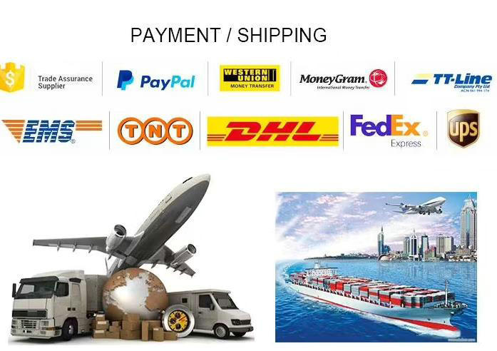 Payment / Shipping